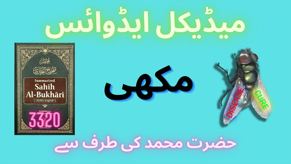 Medical Advise Housefly from Prophet Muhammad/یڈیکل ایڈوائس ​مکھی حضرت محمد کی طرف /#short